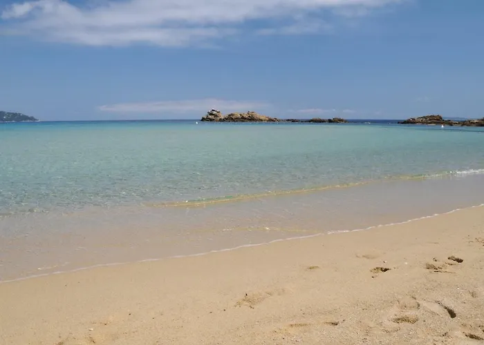 Thalassa Art' 4* لو لا فاندو